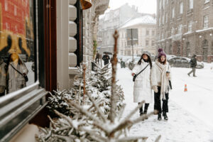 France en Hiver